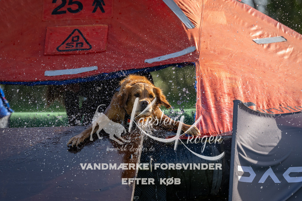 1148-92271 | kk-dogfotos