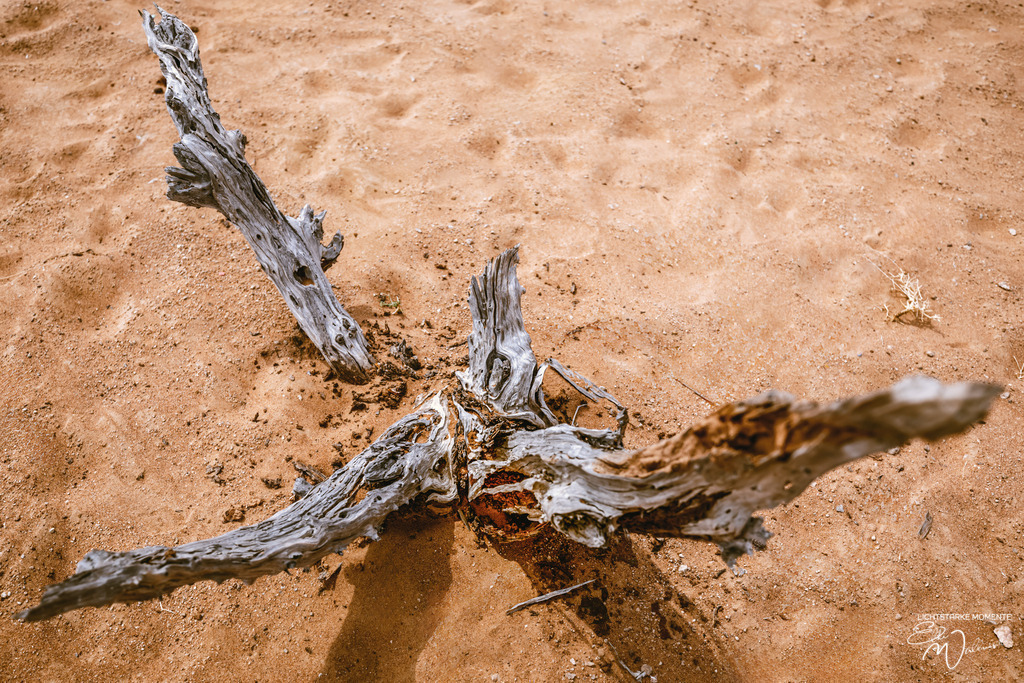 Beduinencamp bei Al Salam Desert Camp, Al Qabil, Bidiyya, Oman | Herzlich willkommen auf meiner Seite! Ich bin Elke Wallnisch, Deine Fotografin für lichtstarke Momente. Der Name steht für alles, was mich mit der Fotografie verbindet: Das Licht und seine machtvolle Wirkung auf eine Situation oder unsere Stimmung - Realisiert mit Pictrs.com