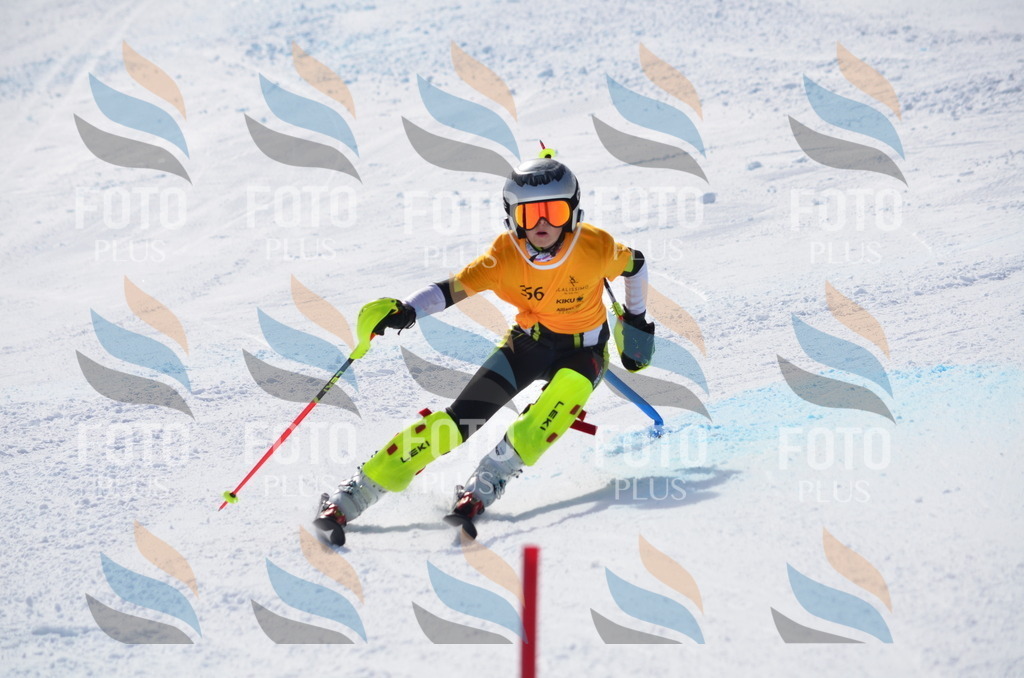 C9822 | holidayphoto