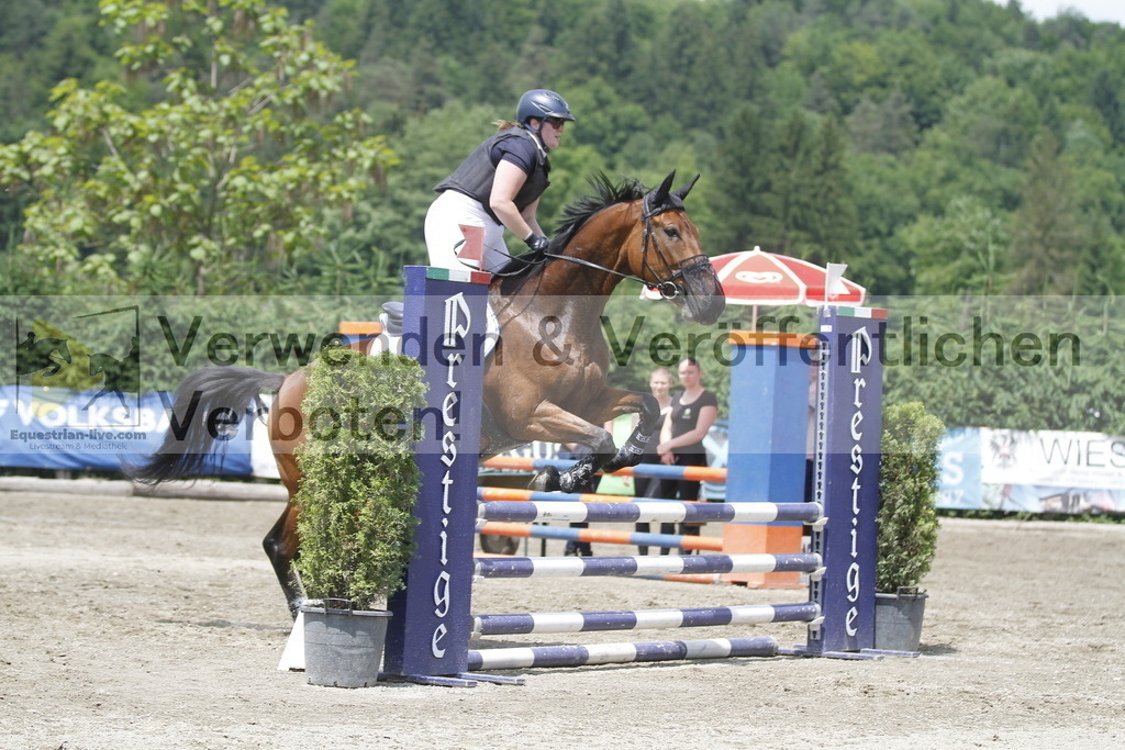 _MG_5380 | equestrian-live-com