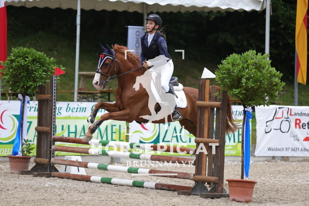 0P6A0125 | Willkommen bei Brunnmayr - Design & Fotografie – Ihrem Spezialisten für Reitturniere und Pferdeveranstaltungen in Oberösterreich, Salzburg und Bayern! Seit über 17 Jahren sind wir leidenschaftlich dabei.