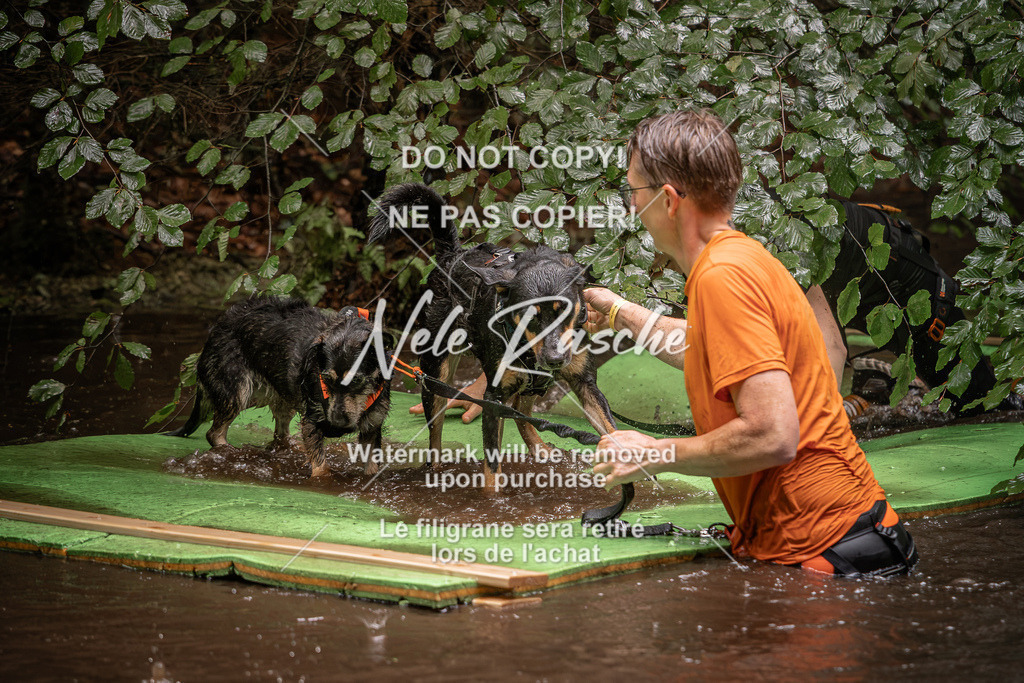 nelerasche_Wingst_Sa1330-1400_136 | nelerasche