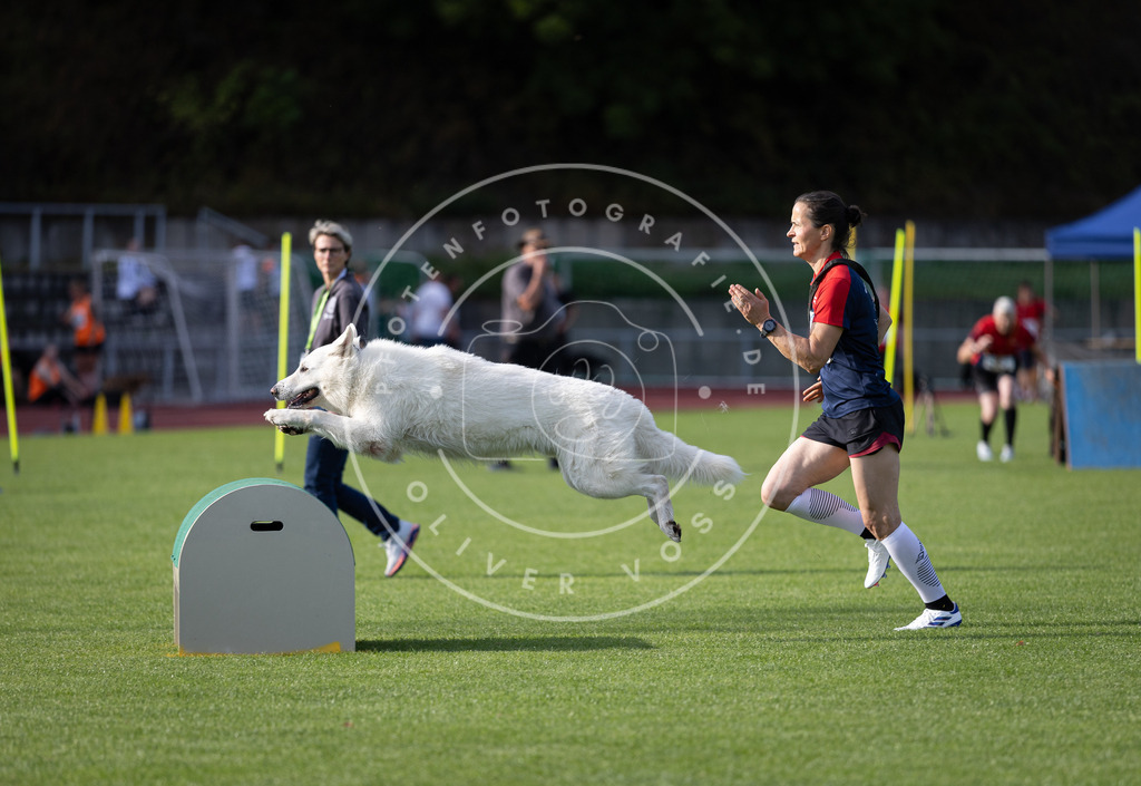 Pfotenfotografie_DV3A2585 | Hundefotografie, Tierfotograf, Pfotenfotografie, Fotoshooting Hund, Hunde Portrait, Hundesport, Hundeportraits, Heideshooting, Hunde, Sportfotograf, Hundefotograf, Turnierhundsport, THS,  - Realisiert mit Pictrs.com