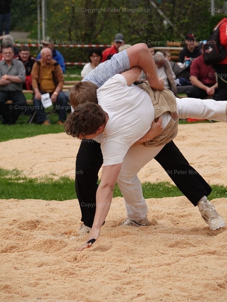 k-DSC06189 | Schwingen - Realisiert mit Pictrs.com