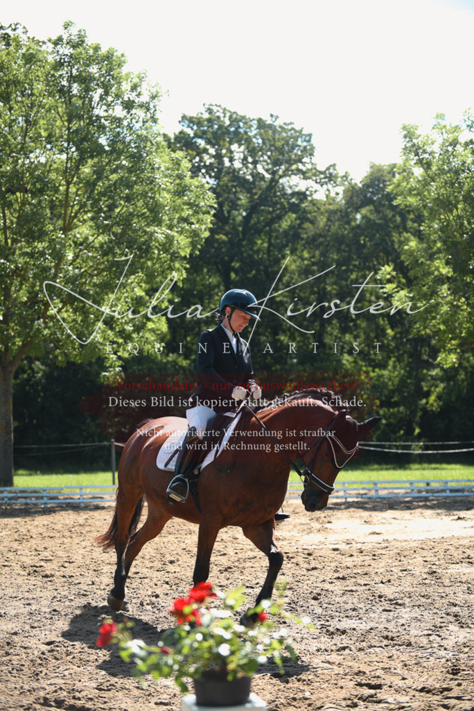 DSC_0375 | Pferde- und Turnierfotografie in Westsachsen. Pferdeportraits, Auftragszeichnungen und intuitive Kunst.