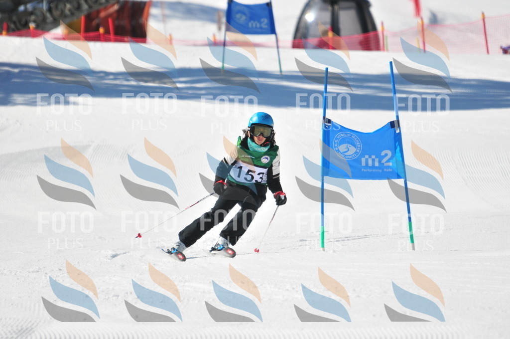 C4076 | holidayphoto