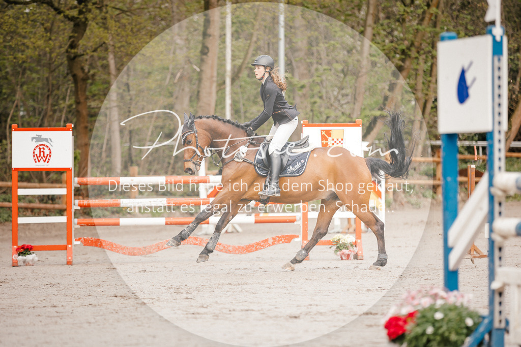 3I6A3171 | Stimmungsvolle Portraits und Reitsportfotografie im Ruhrgebiet und im Münsterland.

Pferdefotografie, Hundefotografie, Tierfotografie, Reportagen, Portraits von Tier und Mensch, Turnierfotografie in Bochum, Recklinghausen, Marl, Haltern am See, Dülmen.. - Realisiert mit Pictrs.com