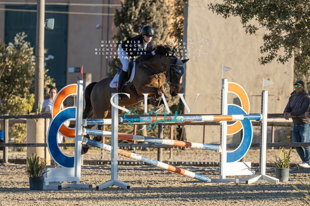 IMG_2442 | s-jay-photography - Realisiert mit Pictrs.com