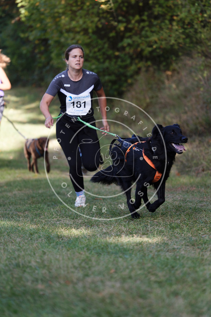 0L8A5607 | Hundefotografie, Tierfotograf, Pfotenfotografie, Fotoshooting Hund, Hunde Portrait, Hundesport, Hundeportraits, Heideshooting, Hunde, Sportfotograf, Hundefotograf, Turnierhundsport, THS,  - Realisiert mit Pictrs.com