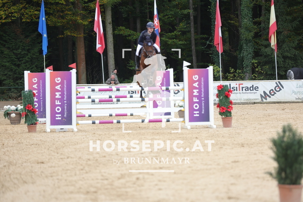 0P6A7566 | Willkommen bei Brunnmayr - Design & Fotografie – Ihrem Spezialisten für Reitturniere und Pferdeveranstaltungen in Oberösterreich, Salzburg und Bayern! Seit über 17 Jahren sind wir leidenschaftlich dabei.