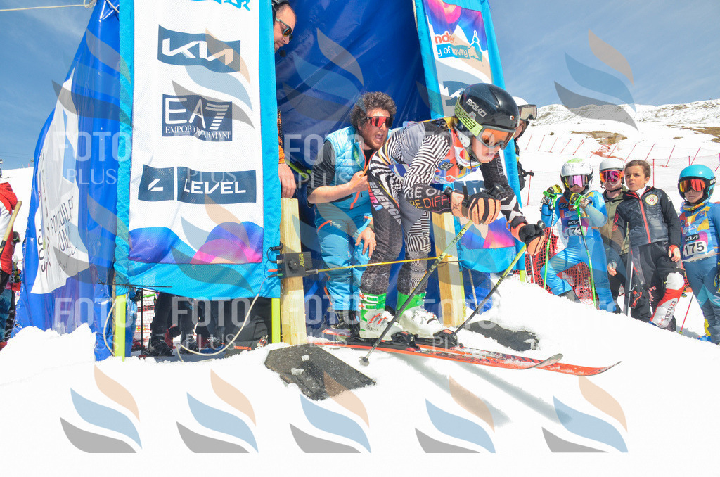 _ELE6387 | holidayphoto