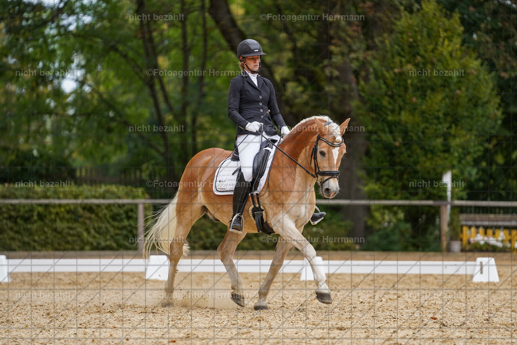 20231007-SN_00739 | Diessen am Ammersee, 2023, Dressur- und Springturnier, Reitsport, Turnierfotografie, Pferdebilder, Reitbilder, Turnierfotografen Bayern, Fotoagentur Herrmann