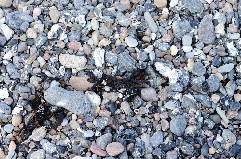 Strandboden mit Feuersteinen | dataxp - Realisiert mit Pictrs.com