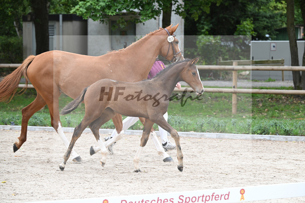 Kat-Nr. 30 Zaira_Mayer_49221026 | hf-fotografie - Realizzato con Pictrs.com