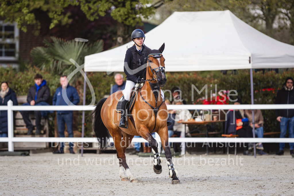 240424_Lemwerder_Stil-L-174 | Deine schönsten Turniermomente als professionelle Fotos! Entdecke hochwertige Pferdesport-Fotografie im Online-Shop. Jetzt Fotos finden & bestellen!