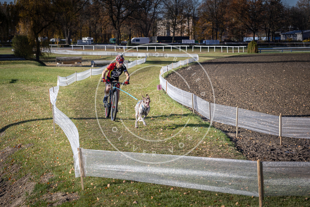 CaniXpix_DV3A5412 | Hundefotografie, Tierfotograf, Pfotenfotografie, Fotoshooting Hund, Hunde Portrait, Hundesport, Hundeportraits, Heideshooting, Hunde, Sportfotograf, Hundefotograf, Turnierhundsport, THS,  - Realisiert mit Pictrs.com