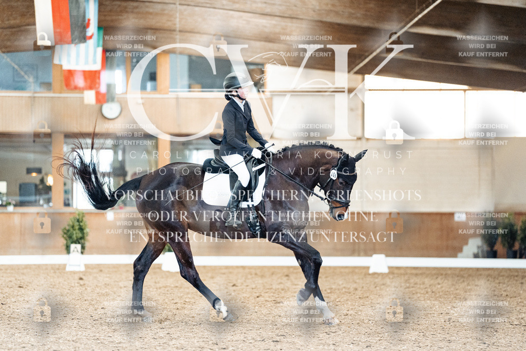 CK909905 | Turnierfotografie Pferdefotografie Trier Rheinland-Pfalz Pferdesport Reitsport Tierfotografie Sportfotografie Pferdevideo Pferdevideografie Equestrianvideography equestrianphotography  - Realisiert mit Pictrs.com