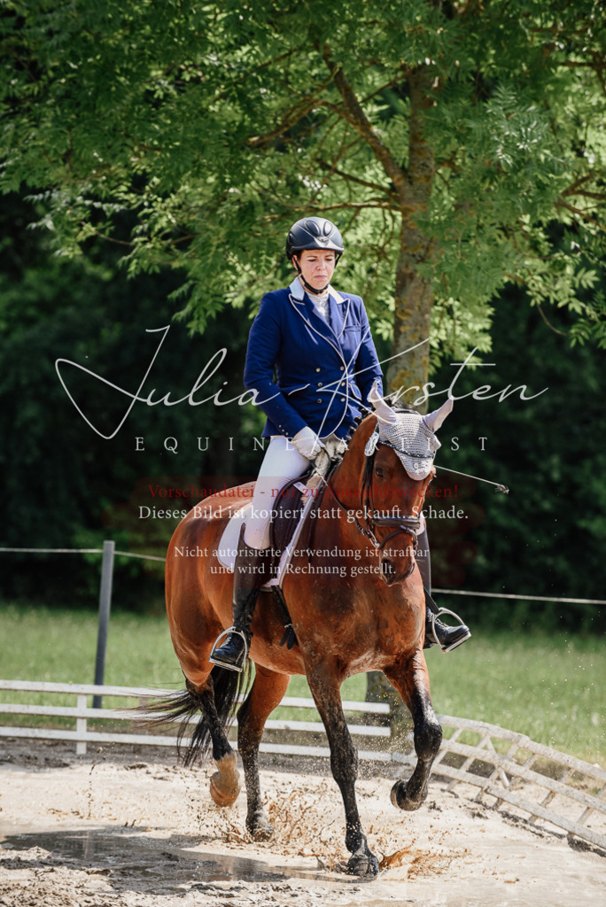 DSC_1182 | Pferde- und Turnierfotografie in Westsachsen. Pferdeportraits, Auftragszeichnungen und intuitive Kunst.
