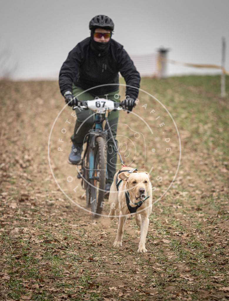 Pfotenfotografie_DV3A2936 | Hundefotografie, Tierfotograf, Pfotenfotografie, Fotoshooting Hund, Hunde Portrait, Hundesport, Hundeportraits, Heideshooting, Hunde, Sportfotograf, Hundefotograf, Turnierhundsport, THS,  - Realisiert mit Pictrs.com