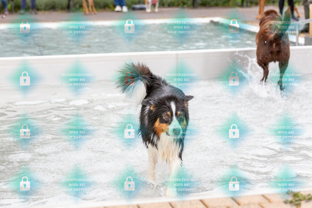 _HP_7397_1000o | HetPix, HetPix Fotodesign, Fotografie, Fotodesign, Webshop, Sportfotografie, Portraitfotografie, Onlineshop, Sportfotografie, Polch, Motorsportfotografie, Eventfotografie