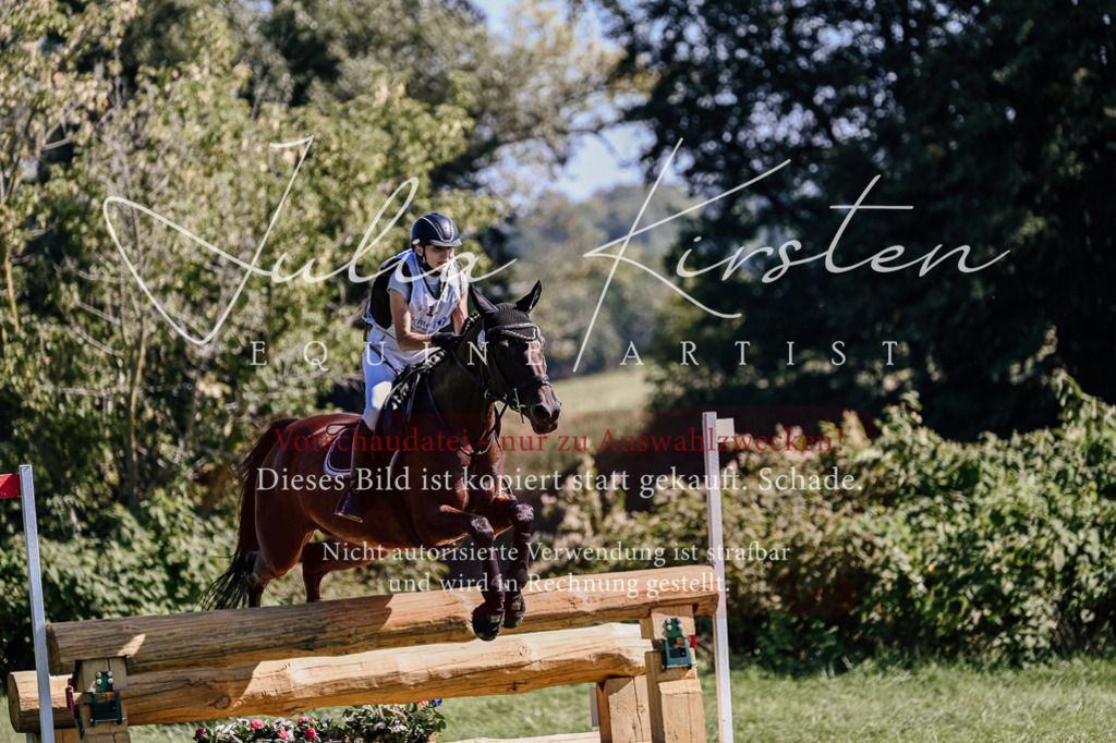 DSC_1763 | Pferde- und Turnierfotografie in Westsachsen. Pferdeportraits, Auftragszeichnungen und intuitive Kunst.