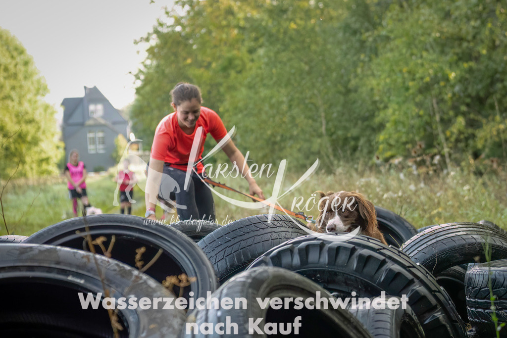 1030_ZZ94532-Bearbeitet | kk-dogfotos