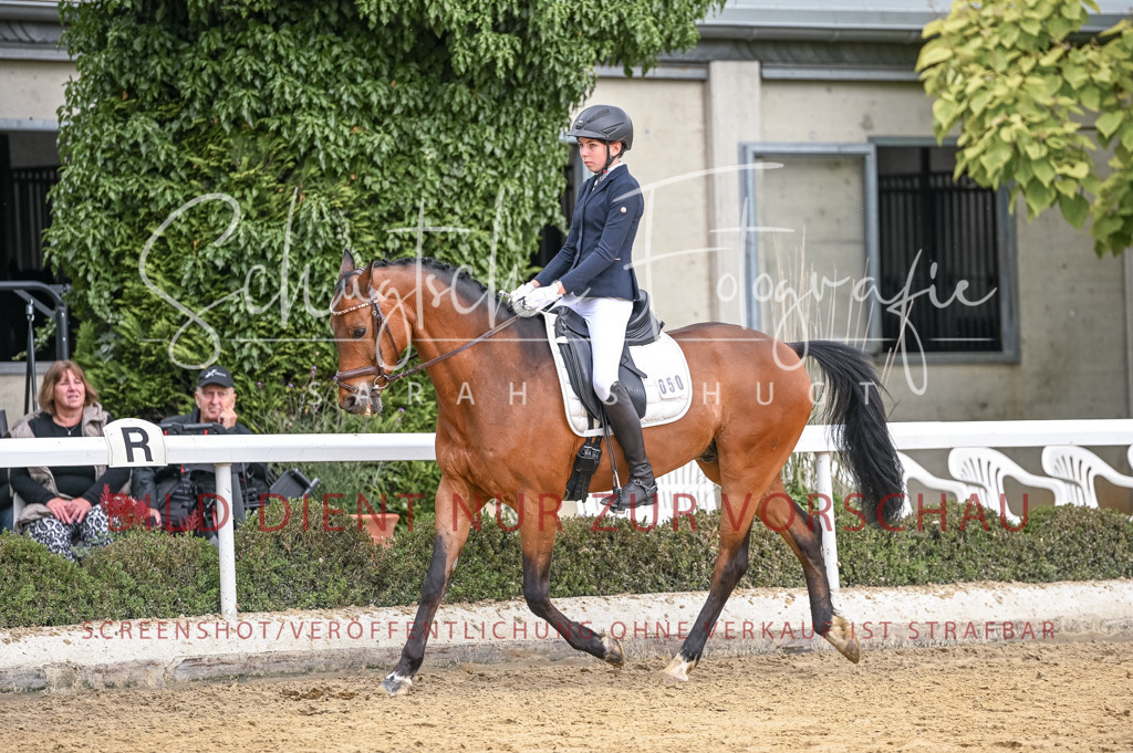 Schugtsche-Aluta25-43.EDressur -226 | Schugtsche Fotografie - Realisiert mit Pictrs.com