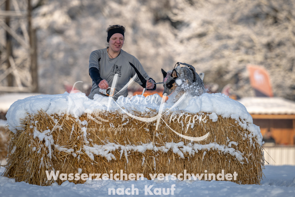 0805_ZZ90481 | kk-dogfotos