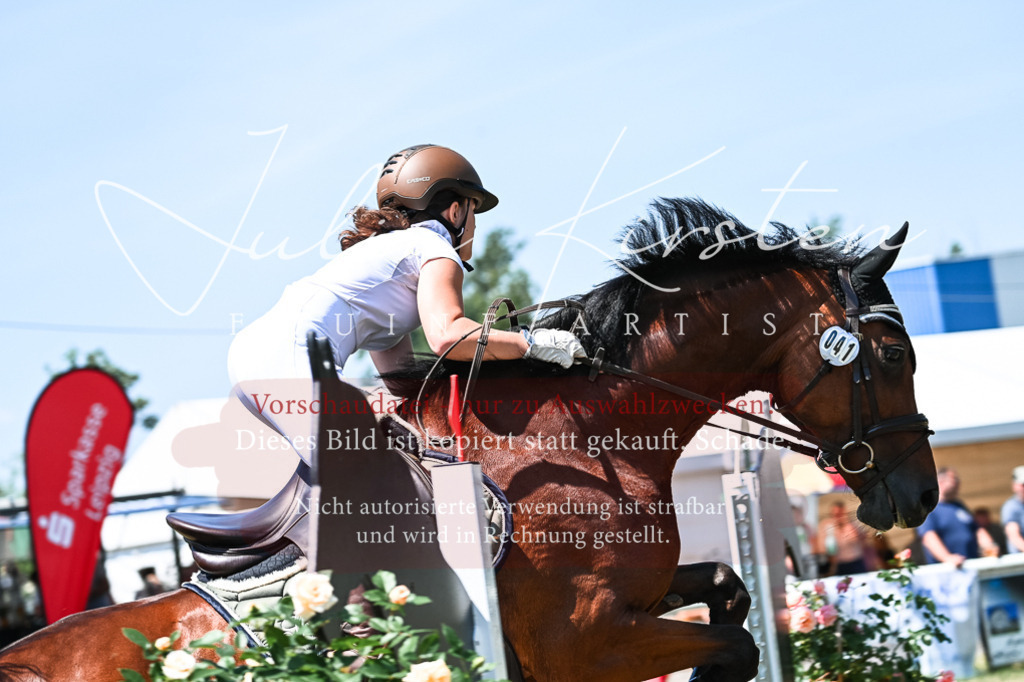 DSC_0399 | Pferde- und Turnierfotografie in Westsachsen. Pferdeportraits, Auftragszeichnungen und intuitive Kunst.