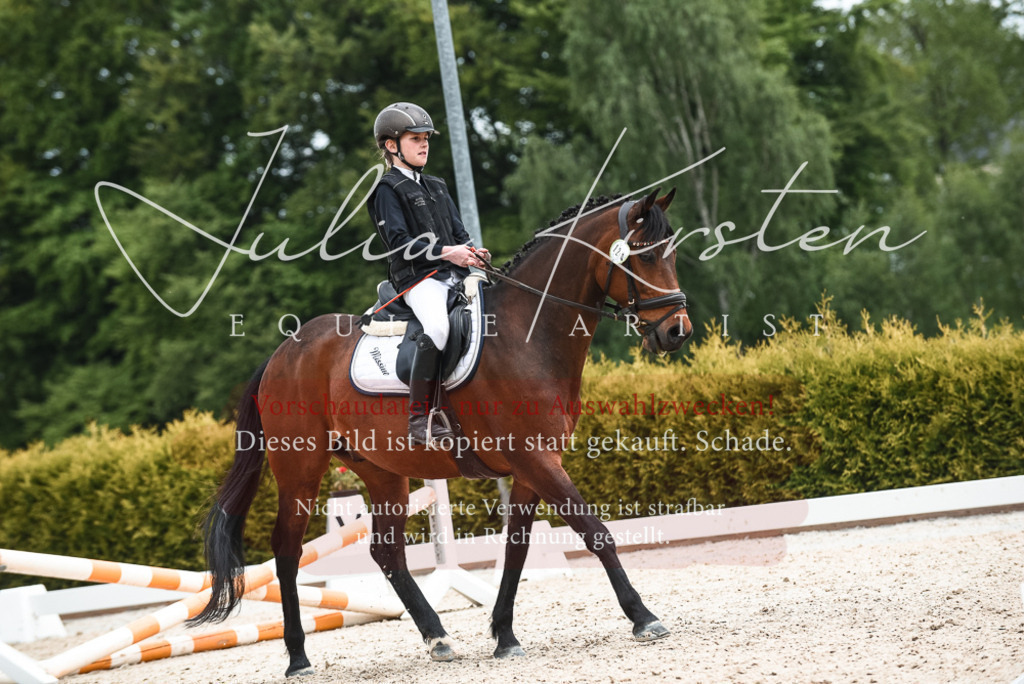 20230518_JK-Röhrsdorf-10-686 | Pferde- und Turnierfotografie in Westsachsen. Pferdeportraits, Auftragszeichnungen und intuitive Kunst.