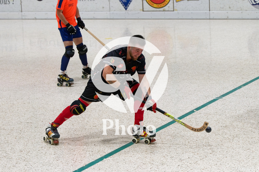 DSC_2329 | Velletri Photo