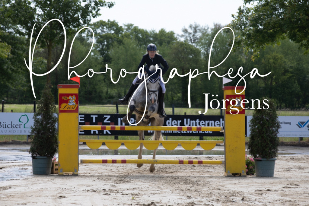 IMG_4032 | photographesa-joergens - Realisiert mit Pictrs.com