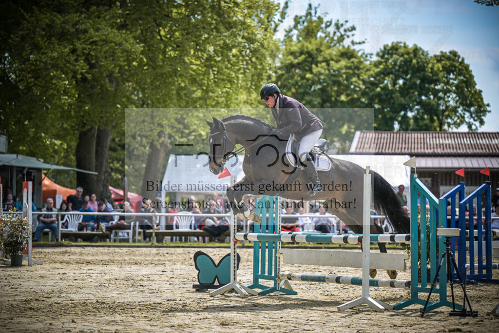 DOS_0317 | Entdecke hochwertige Reitturnierfotos von Foto Oger. Professionell, emotional und authentisch – jetzt Lieblingsmomente im Shop bestellen.Deutschlandweite Turnierfotografie. - Realisiert mit Pictrs.com
