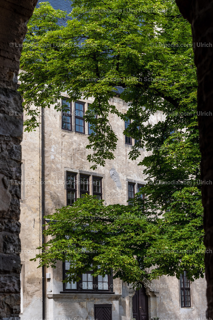 10049-12511 - Schloß und Stiftskirche Leitzkau | Stockfoto und Bilderpool mit Bildmaterial aus Deutschland, dem Harz, Halberstadt, Quedlinburg, Wernigerode und weltweit. Qualitativ hochwertige und professionelle Fotos anschauen und kaufen. - Realisiert mit Pictrs.com