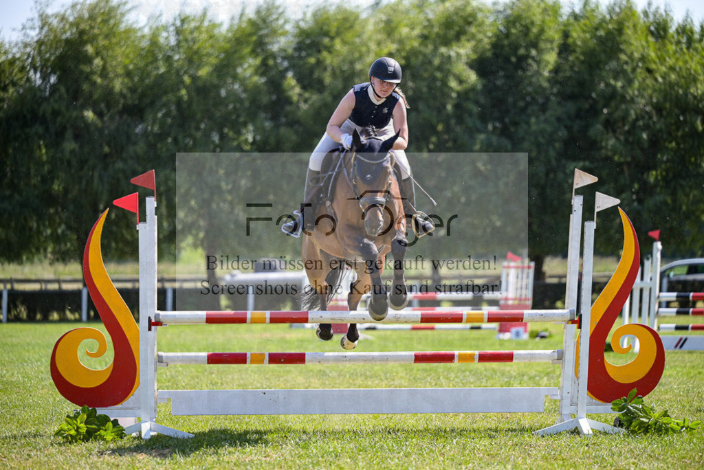 Reitturnier Voxtrup | Entdecke hochwertige Reitturnierfotos von Foto Oger. Professionell, emotional und authentisch – jetzt Lieblingsmomente im Shop bestellen.Deutschlandweite Turnierfotografie. - Realisiert mit Pictrs.com