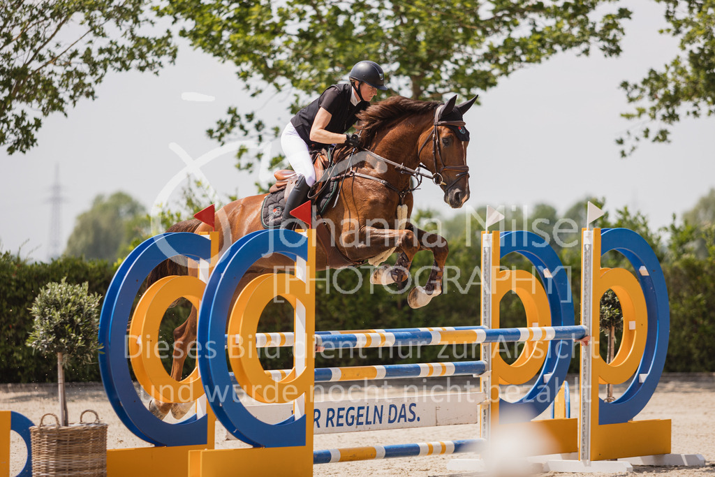 230616_Lemwerder_Springpf-L2-612 | Deine schönsten Turniermomente als professionelle Fotos! Entdecke hochwertige Pferdesport-Fotografie im Online-Shop. Jetzt Fotos finden & bestellen!