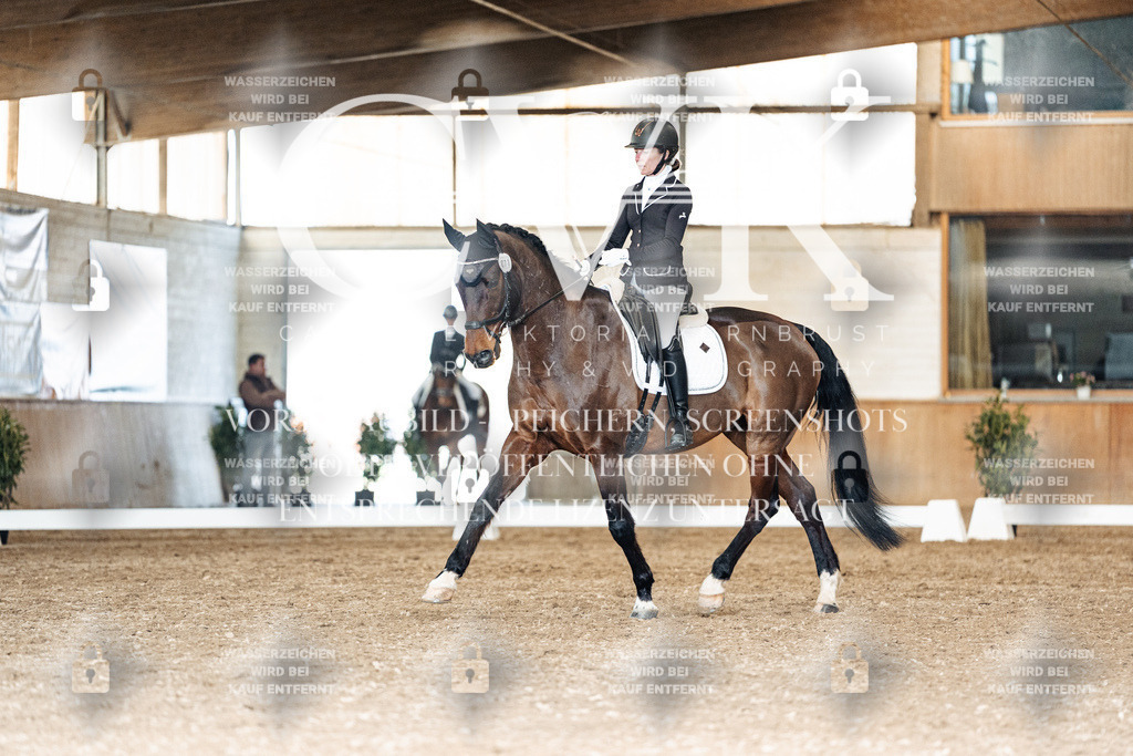 CK901918 | Turnierfotografie Pferdefotografie Trier Rheinland-Pfalz Pferdesport Reitsport Tierfotografie Sportfotografie Pferdevideo Pferdevideografie Equestrianvideography equestrianphotography  - Realisiert mit Pictrs.com