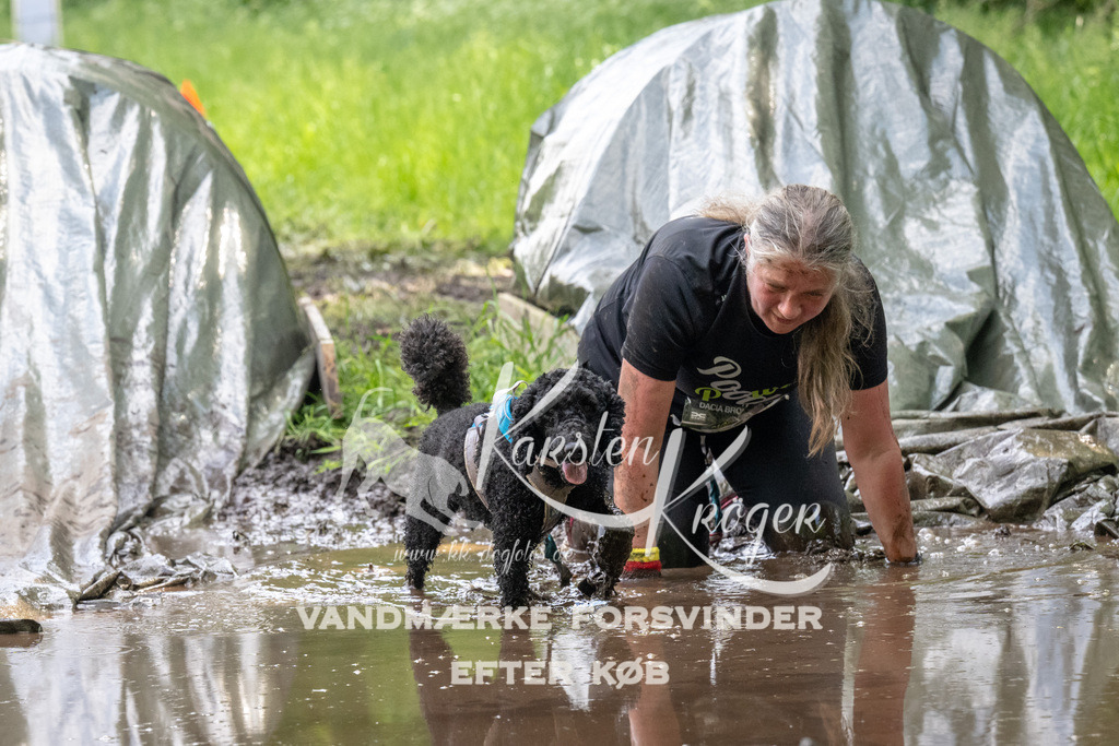 1222_ZZ92019 | kk-dogfotos