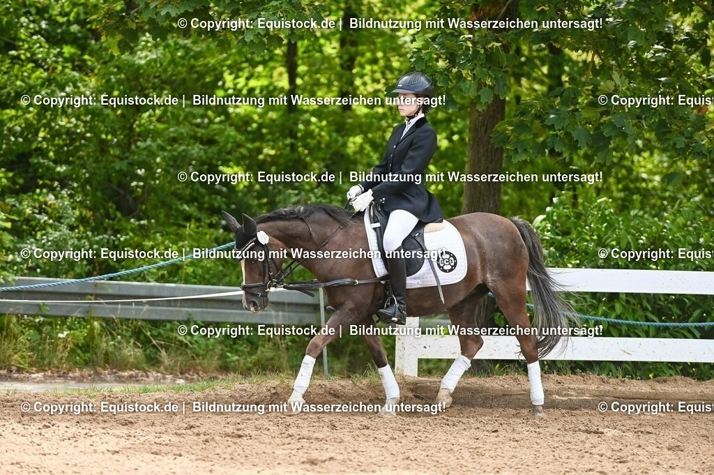 20230716_10-2_Reiter-WB Schritt - Trab - Galopp_0186 | equistock