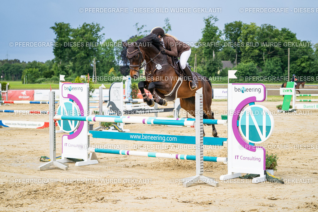 DSC03827 | Pferdegrafie