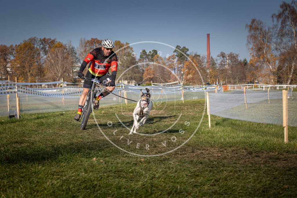 CaniXpix_0L8A6913 | Hundefotografie, Tierfotograf, Pfotenfotografie, Fotoshooting Hund, Hunde Portrait, Hundesport, Hundeportraits, Heideshooting, Hunde, Sportfotograf, Hundefotograf, Turnierhundsport, THS,  - Realisiert mit Pictrs.com