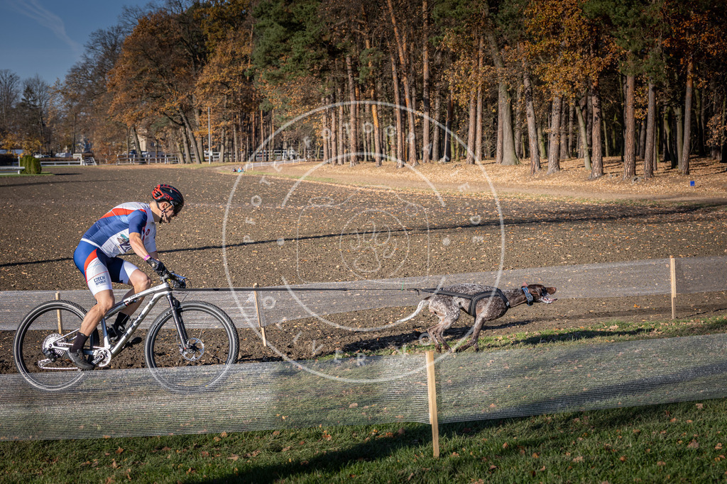CaniXpix_DV3A2959 | Hundefotografie, Tierfotograf, Pfotenfotografie, Fotoshooting Hund, Hunde Portrait, Hundesport, Hundeportraits, Heideshooting, Hunde, Sportfotograf, Hundefotograf, Turnierhundsport, THS,  - Realisiert mit Pictrs.com