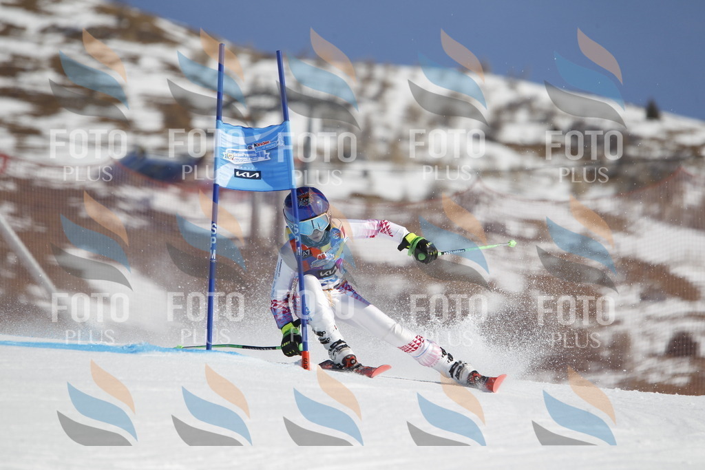 _U3G8937 | holidayphoto