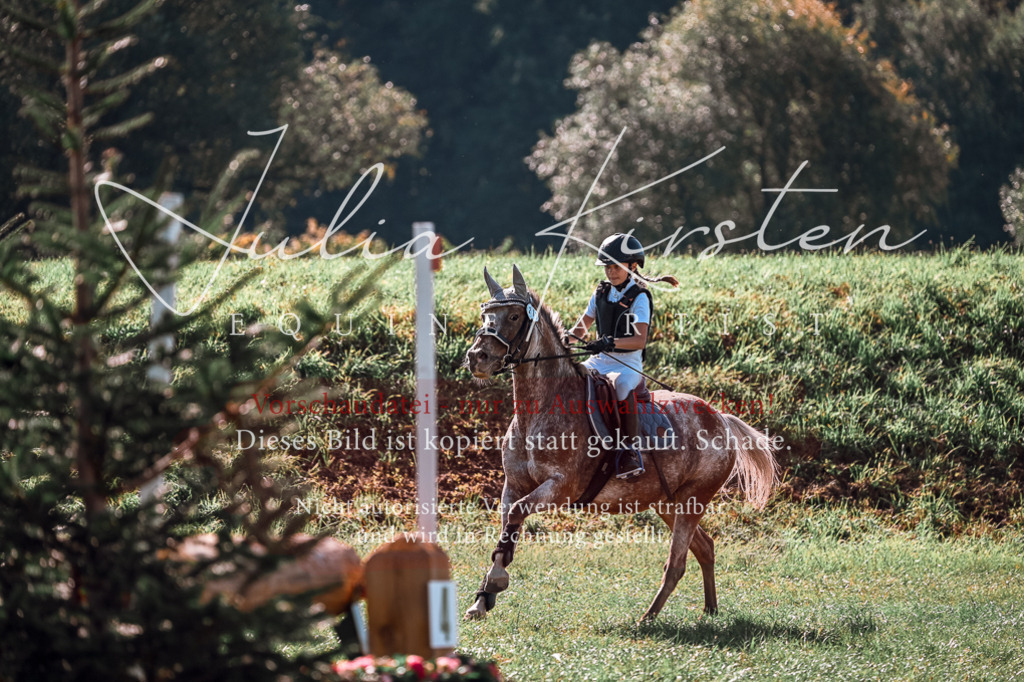 DSC_0696 | Pferde- und Turnierfotografie in Westsachsen. Pferdeportraits, Auftragszeichnungen und intuitive Kunst.