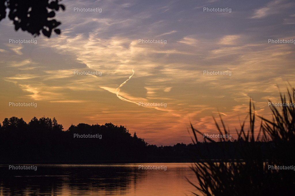 IMG_2998 | phototaetig