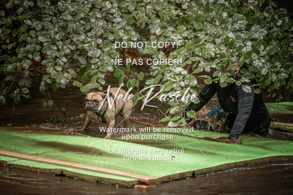 nelerasche_Wingst_Sa1330-1400_108 | nelerasche