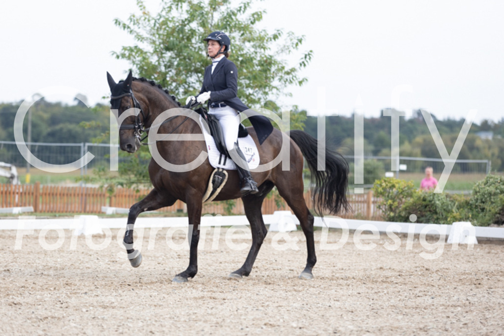 IMG_5017 | Creatify Fotografie