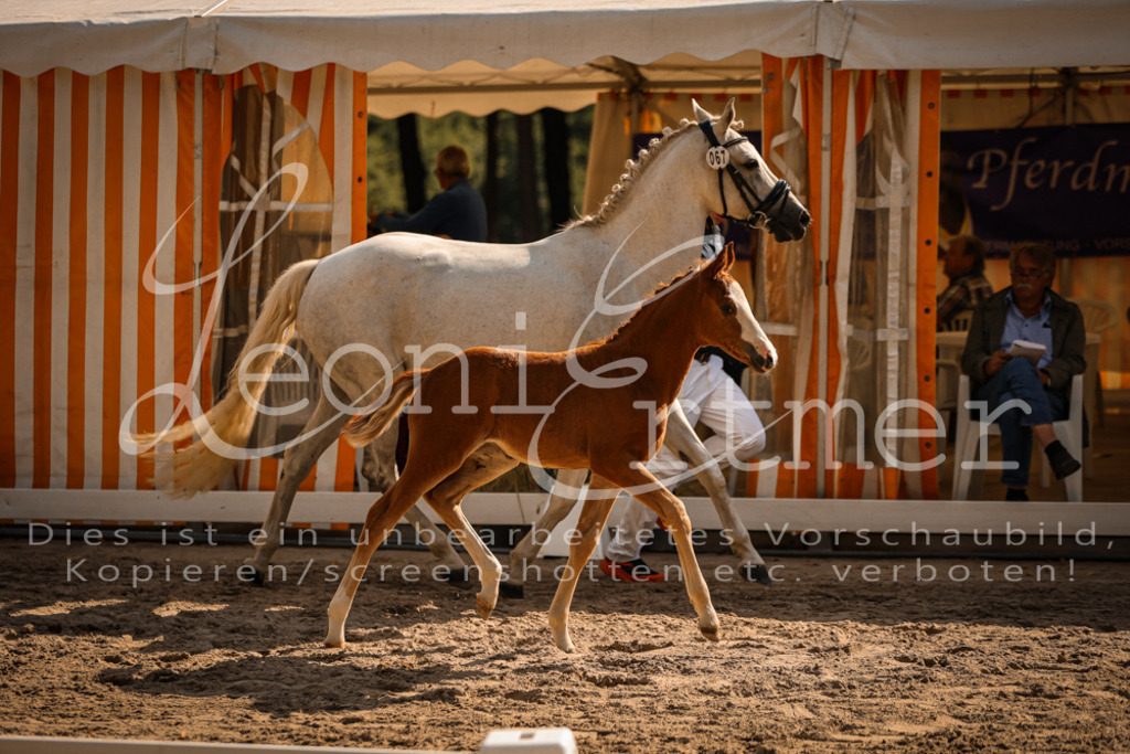 10.DoRP00219 | Leoni Ertmer Photography - Realisiert mit Pictrs.com