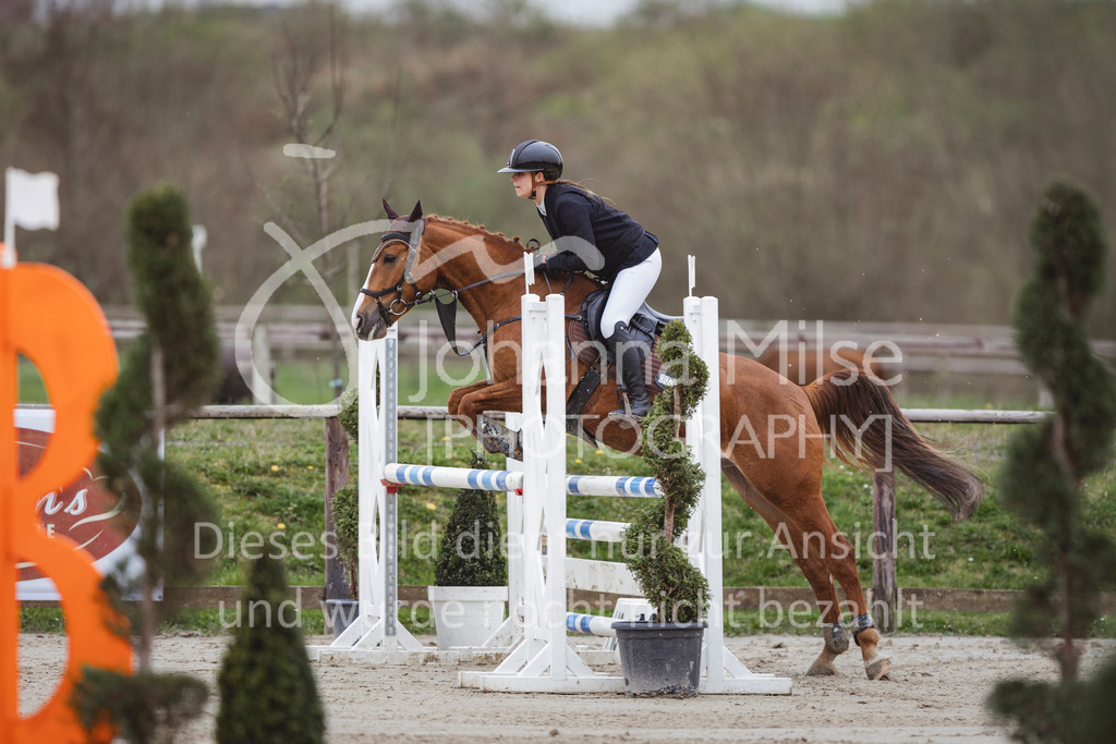 240330_Fruehlingsfest_Stil-A2-2-708 | Deine schönsten Turniermomente als professionelle Fotos! Entdecke hochwertige Pferdesport-Fotografie im Online-Shop. Jetzt Fotos finden & bestellen!