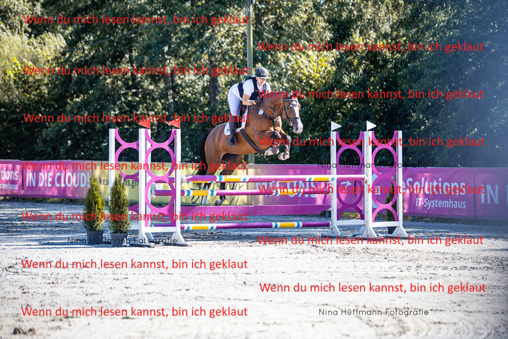 BK1A5714 | Turnierbilder Turnierfotos Nina Hüffmann Turnierfotografie Pferdefotografie Tierzeichnung Haustierzeichnung Pferdezeichnung Hundezeichnung Videograf  - Realisiert mit Pictrs.com